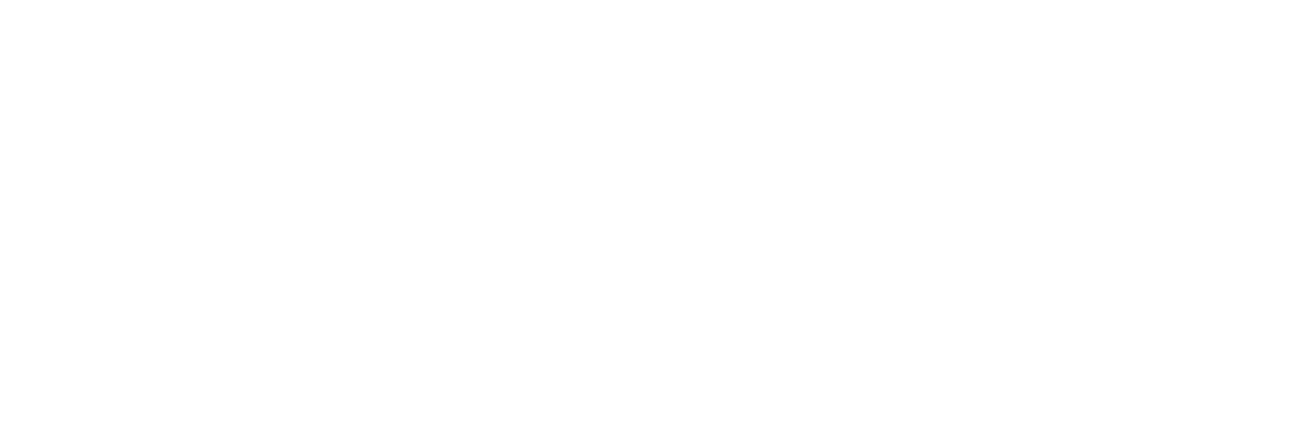 לוגו הדטקטיב רחב לבן - איתור נזילות